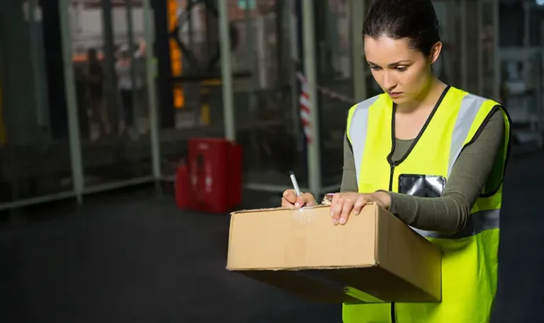 Experience Unmatched Domestic Cargo Shipping Services with Logistic